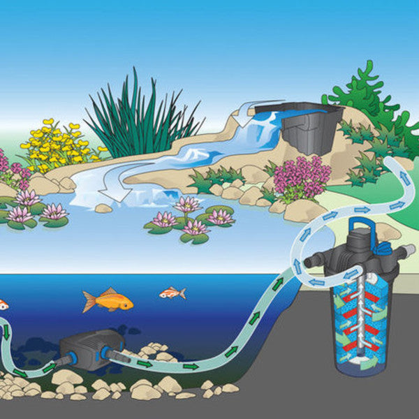 Aquamax Eco Premium Pump