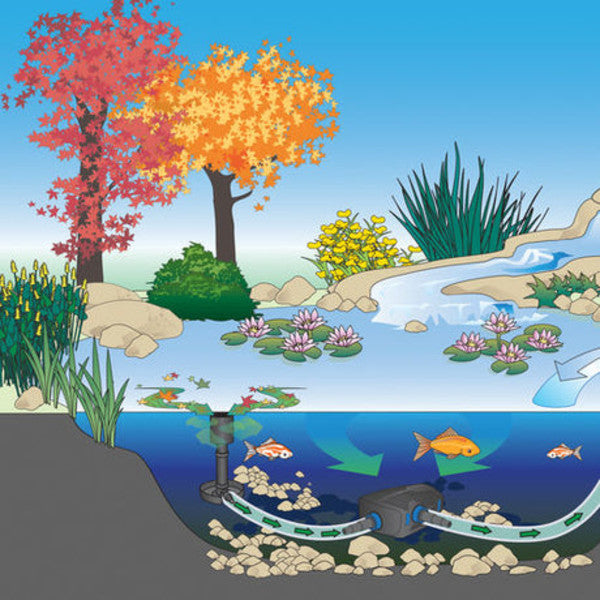 Aquamax Eco Premium Pump