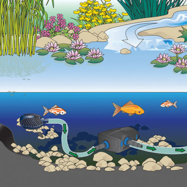 Aquamax Eco Premium Pump