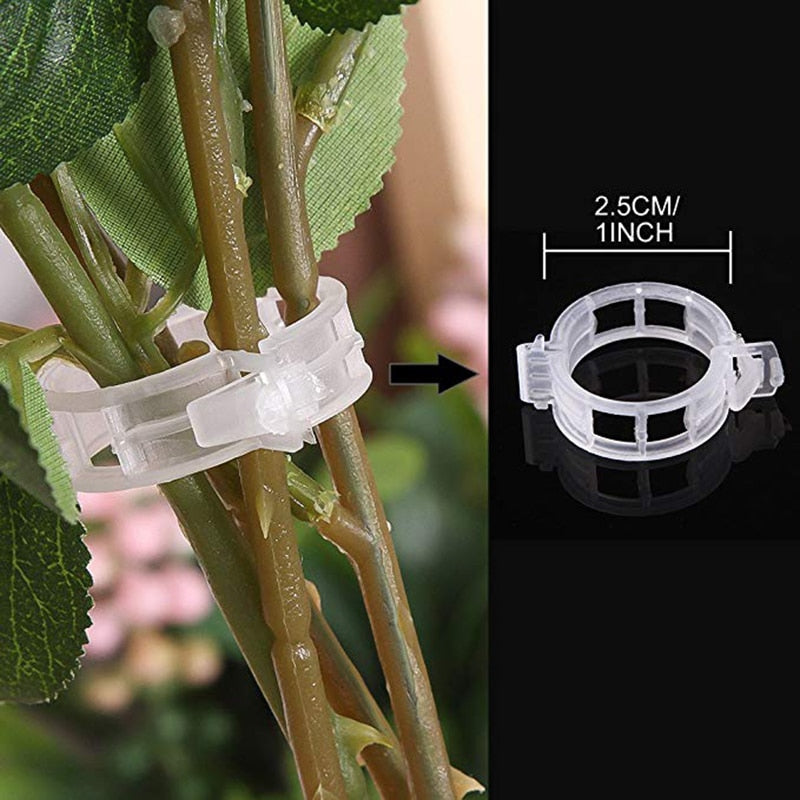 50/100pcs 30mm Plastic Plant Support Clips For Tomato Hanging Trellis Vine Connects