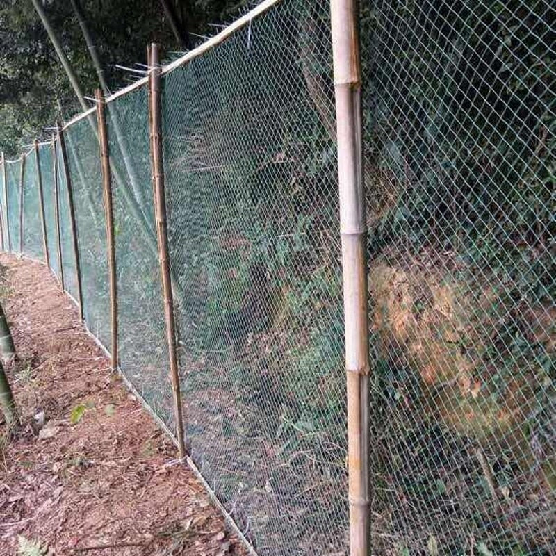 Garden and Crops Protecting Fencing Mesh ,Anti Bird, Deer ,Cat ,Dog ,Chicken Net