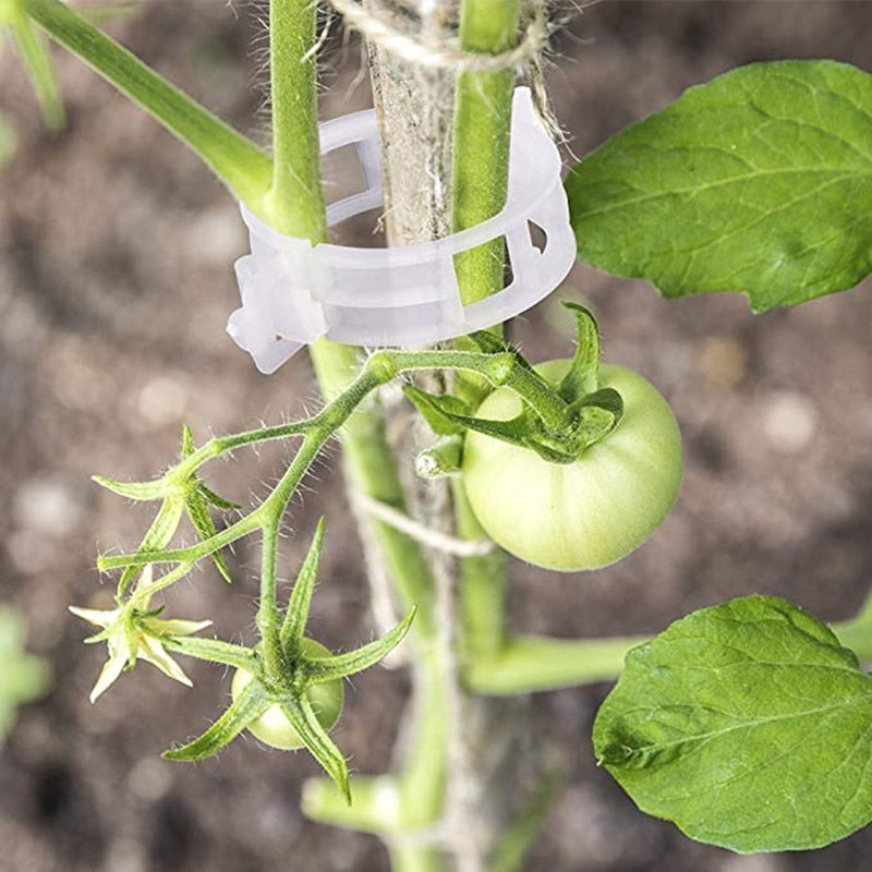 50/100pcs 30mm Plastic Plant Support Clips For Tomato Hanging Trellis Vine Connects
