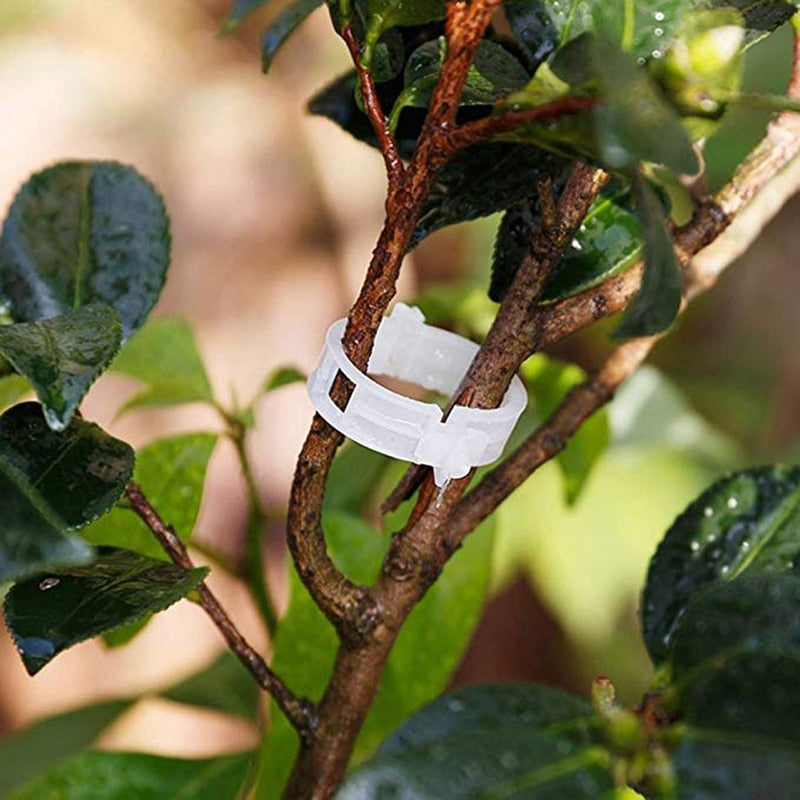 50/100pcs 30mm Plastic Plant Support Clips For Tomato Hanging Trellis Vine Connects