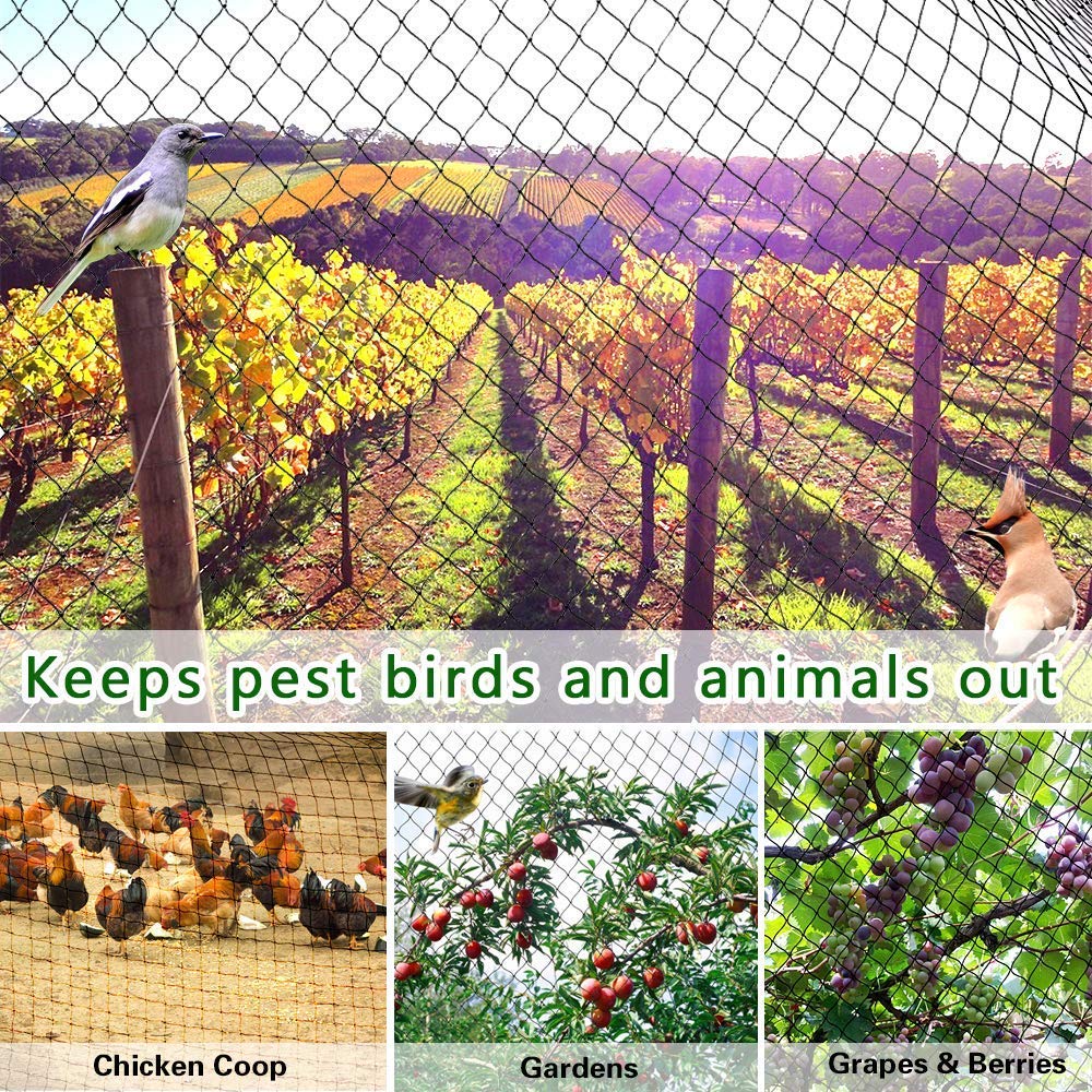 Garden and Crops Protecting Fencing Mesh ,Anti Bird, Deer ,Cat ,Dog ,Chicken Net