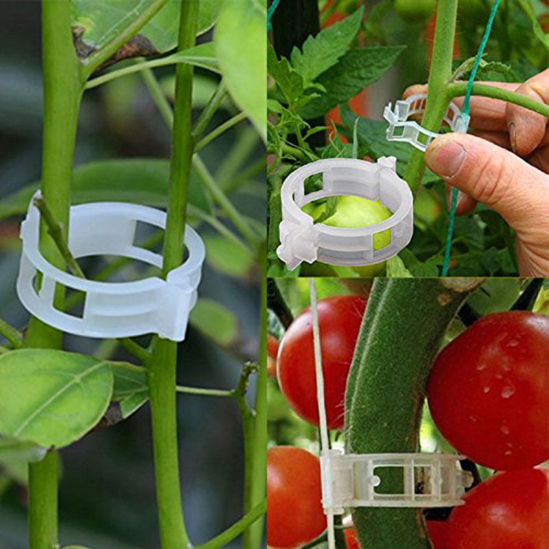 50/100pcs 30mm Plastic Plant Support Clips For Tomato Hanging Trellis Vine Connects